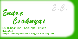 endre csoknyai business card